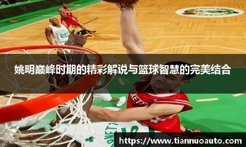 姚明巅峰时期的精彩解说与篮球智慧的完美结合