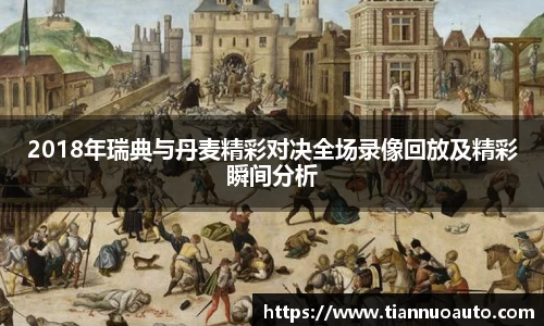 2018年瑞典与丹麦精彩对决全场录像回放及精彩瞬间分析