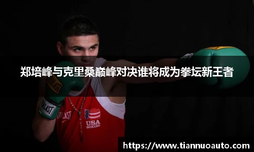 郑培峰与克里桑巅峰对决谁将成为拳坛新王者